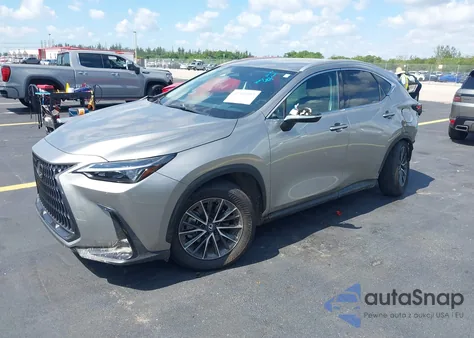 2024 Lexus Nx 250 из США, поврежденный, VIN 2T2ADCAZ3RC009989